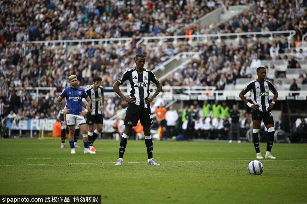 和系统化训 和系统化训