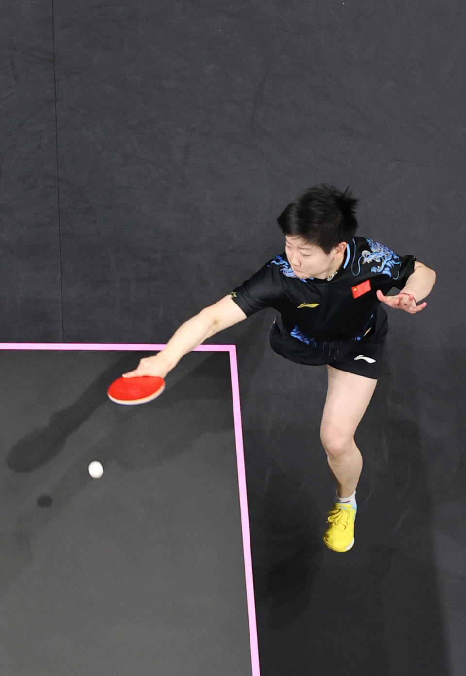 分归咎于体 分归咎于体